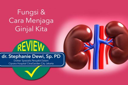 Fungsi dan Cara Menjaga Ginjal fungsi dan cara menjaga ginjal