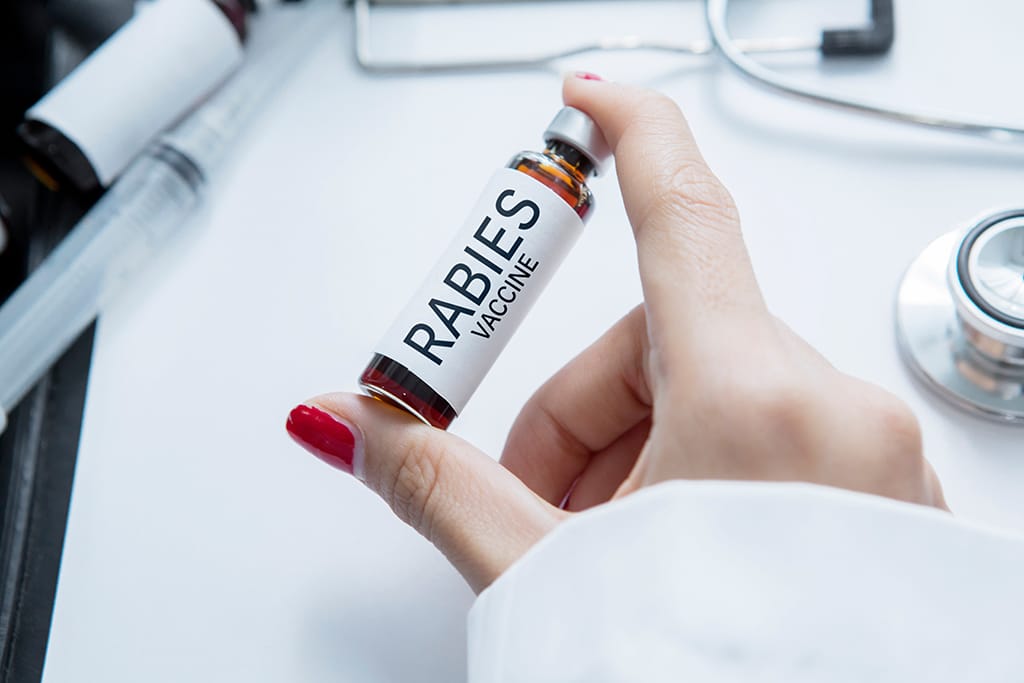 Rabies pada Manusia